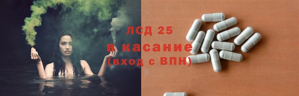 скорость Каменногорск