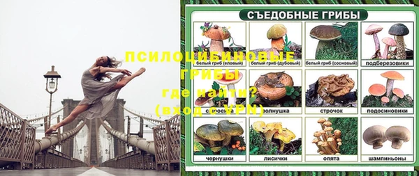 метамфетамин Каменка