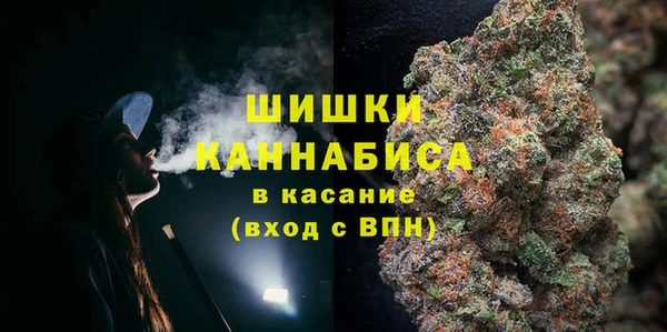 скорость Каменногорск