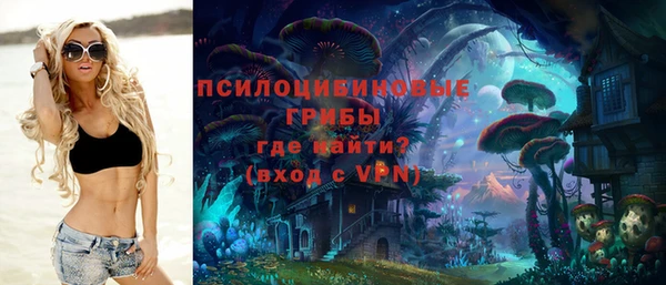 скорость Каменногорск