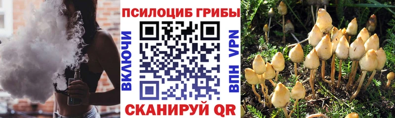 Галлюциногенные грибы MAGIC MUSHROOMS  Купить  Ермолино 